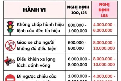 Những lỗi vi phạm giao thông thường gặp và mức phạt mới áp dụng từ 1/1/2025