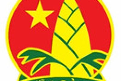 BÁO CÁO THÁNG 10 VÀ KẾ HOẠCH THÁNG 11 CỦA LIÊN ĐỘI